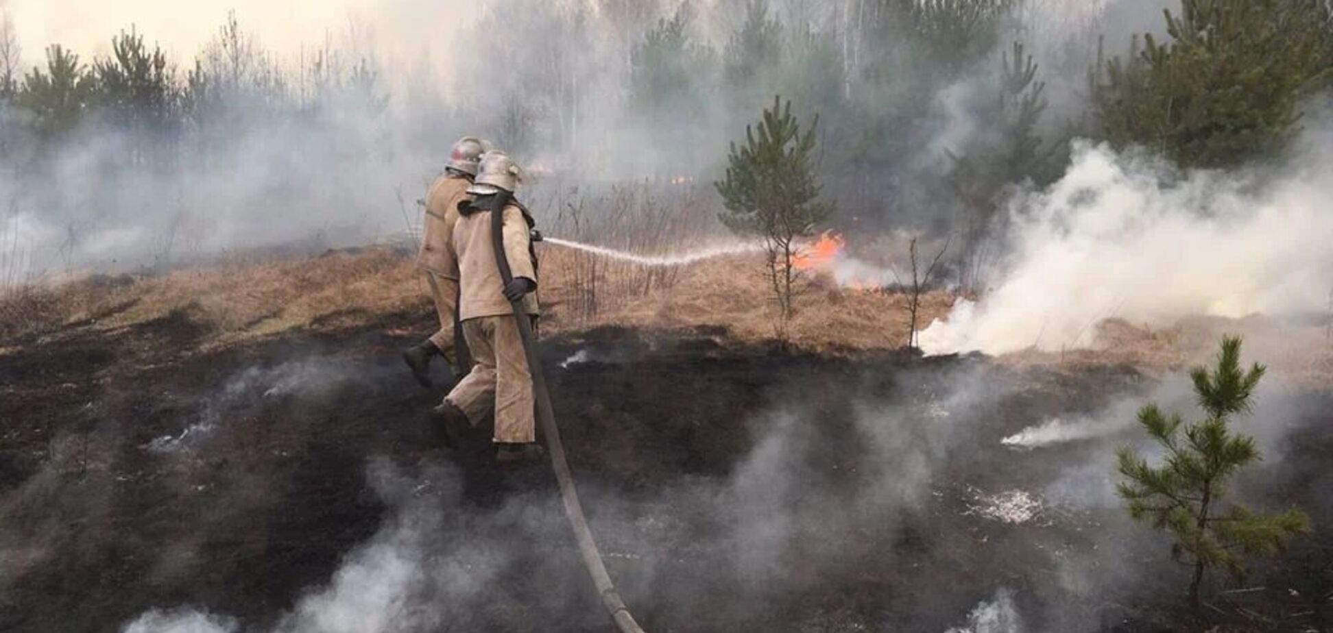 Экоактивисты проигнорировали пожары в Чернобыле, потому что за это не платили, – политолог