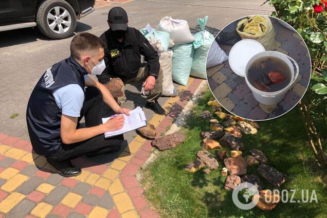 На Ривненщине изъяли почти тонну награбленного янтаря на 30 млн. Фото