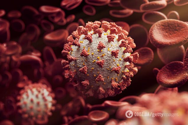 Нову мутацію коронавірусу виявили в Панамі: що відомо