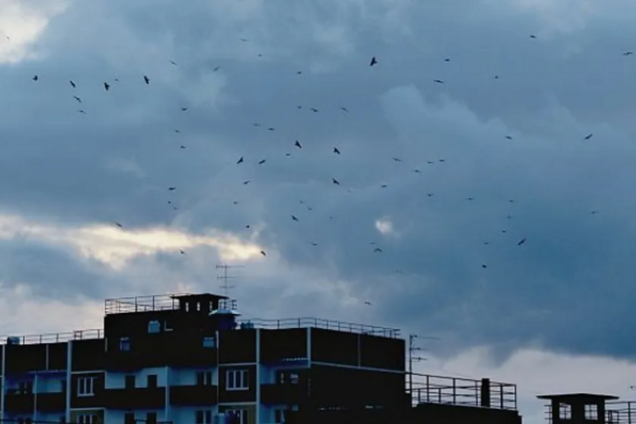 Погода в Дніпрі: з'явився прогноз на 17 червня