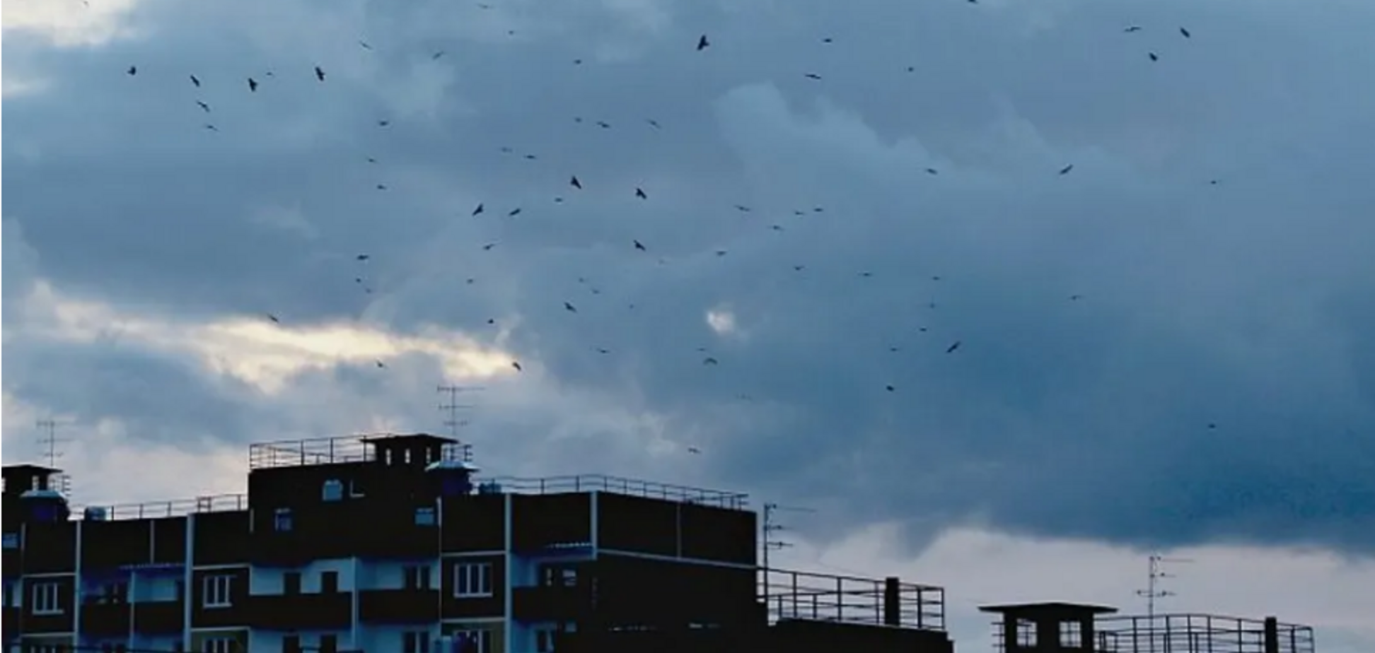 Погода в Дніпрі: з'явився прогноз на 17 червня