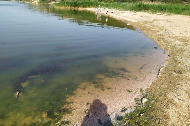 лиманы позеленели