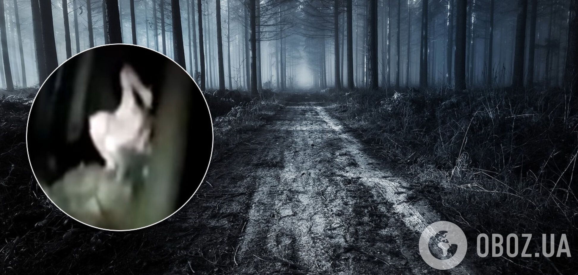 Загадкова істота з моторошним криком у лісі потрапила на відео