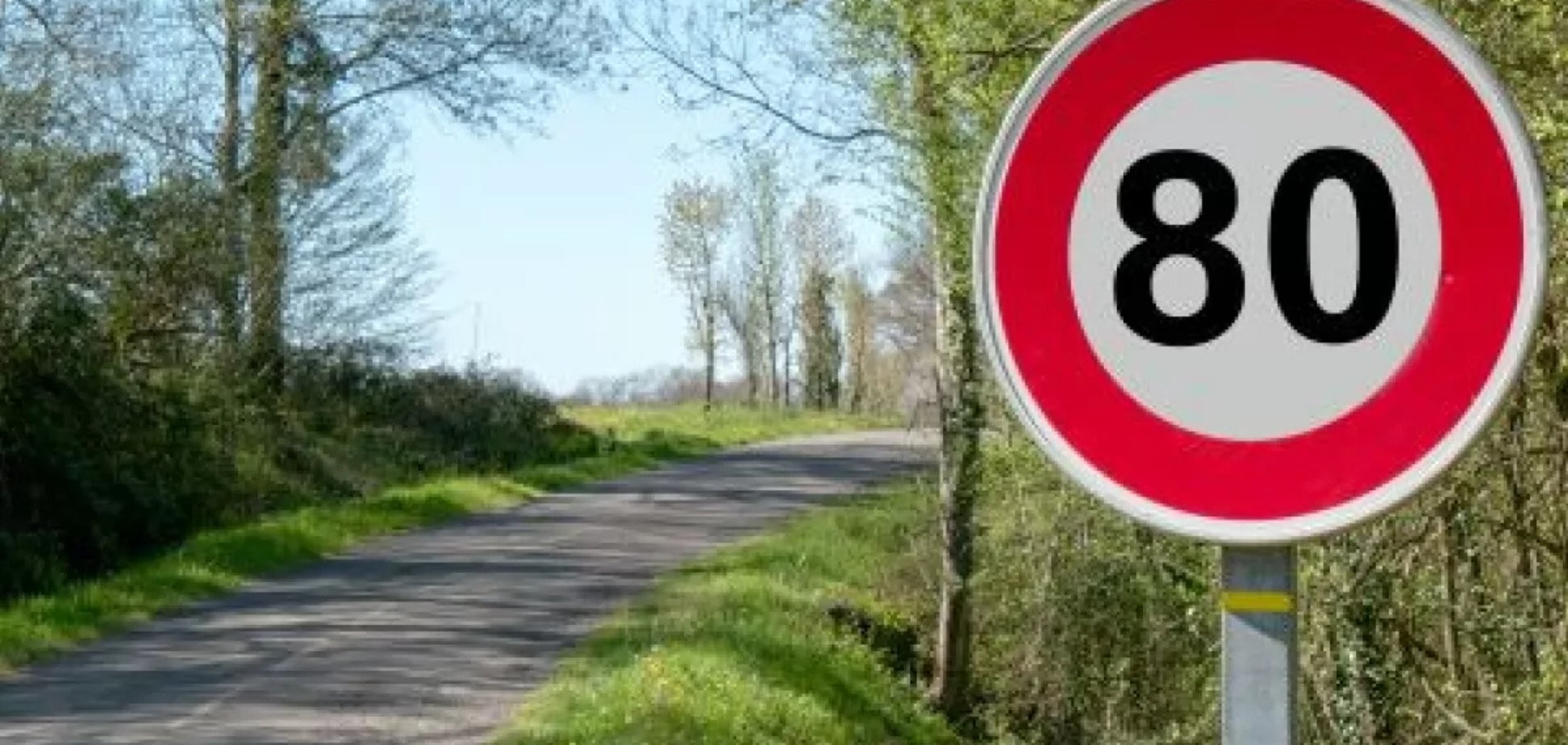 Наочно: за які знаки в Україні штрафують найчастіше