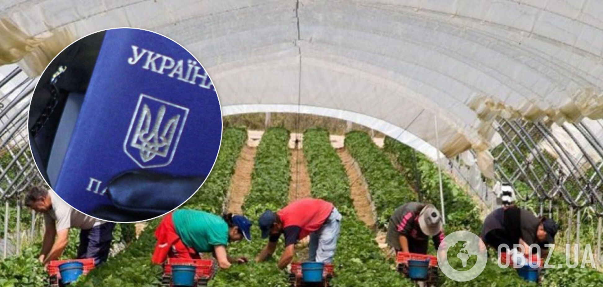 Заробитчане могут стать жертвами мошенников