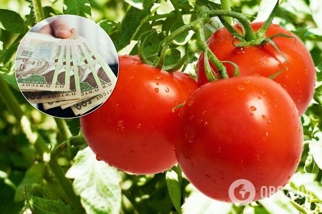 В Украине подскочили цены на помидоры: названа новая стоимость