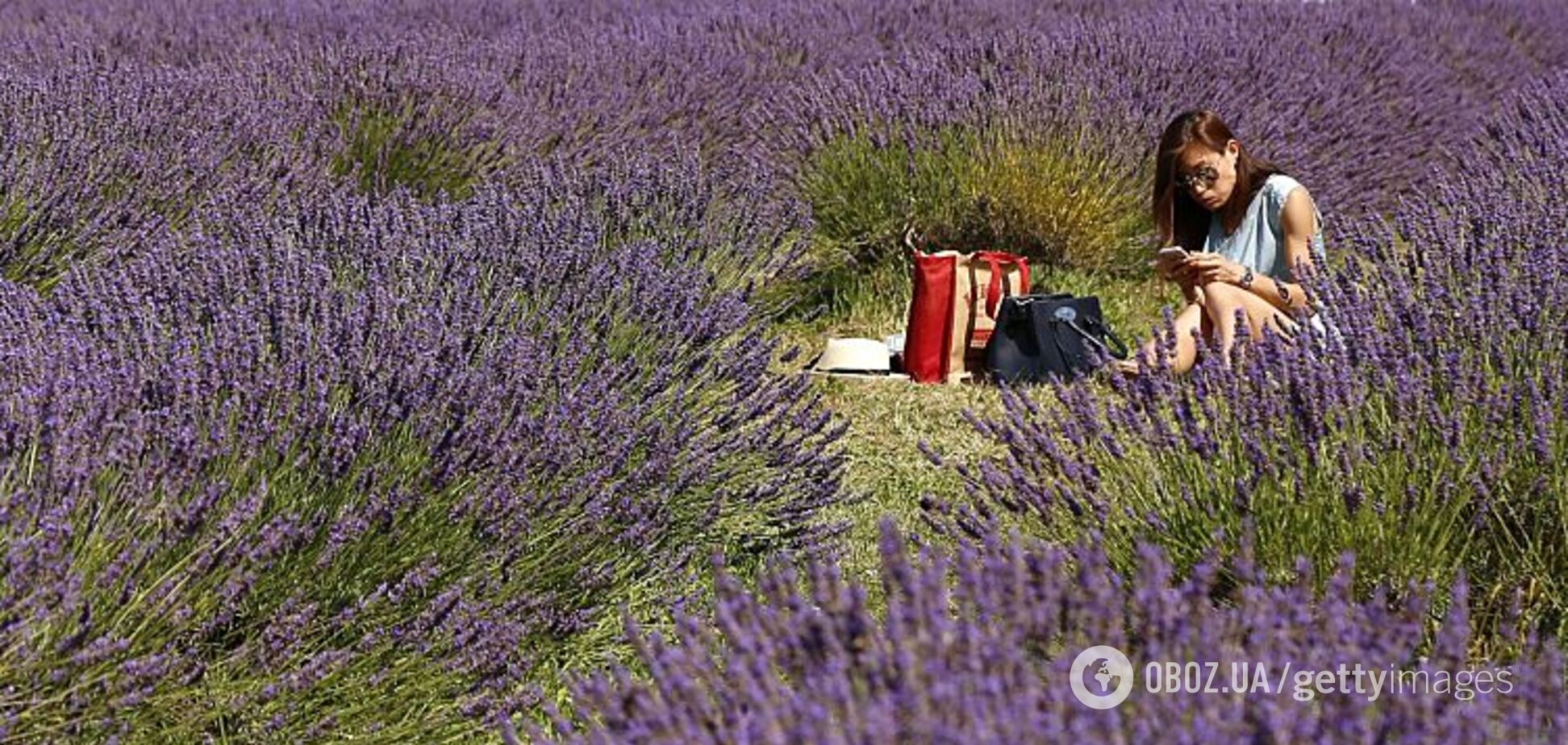 До +32 и засуха: озвучен прогноз погоды на июль в Украине