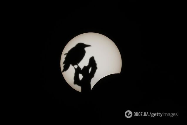 Солнечное затмение 21 июня 2020 года