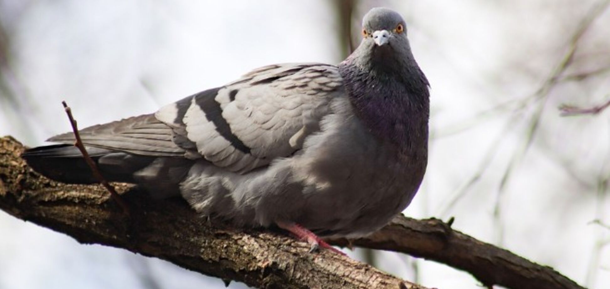 Погода в Дніпрі: з'явився прогноз на 23 червня