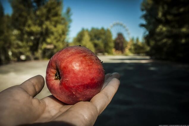 ЗМІ назвали джерело радіаційного забруднення продуктів в Україні
