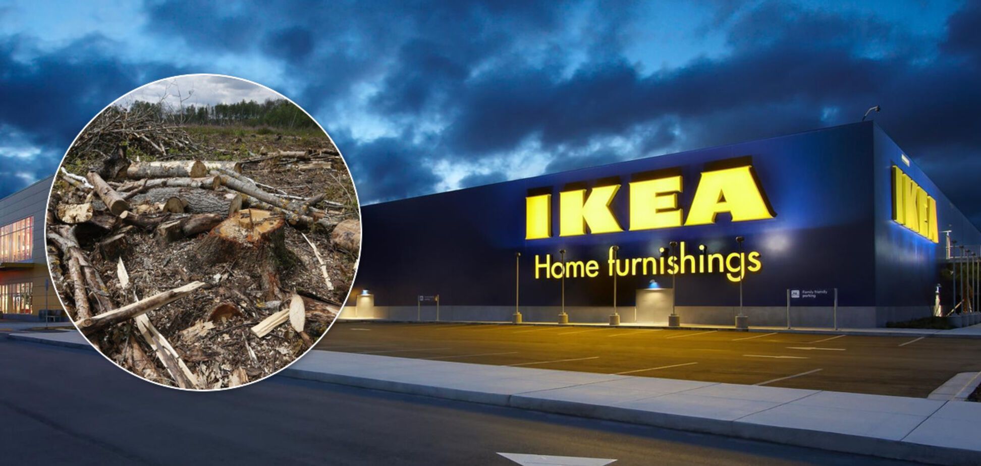 IKEA відреагувала на скандал з незаконними поставками дерева з України