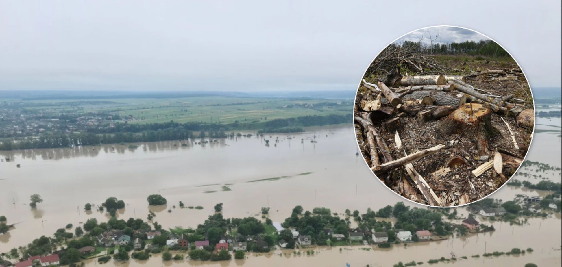 В Кабмине заявили, что вырубка леса в Украине упала на 20% и не является причиной наводнений
