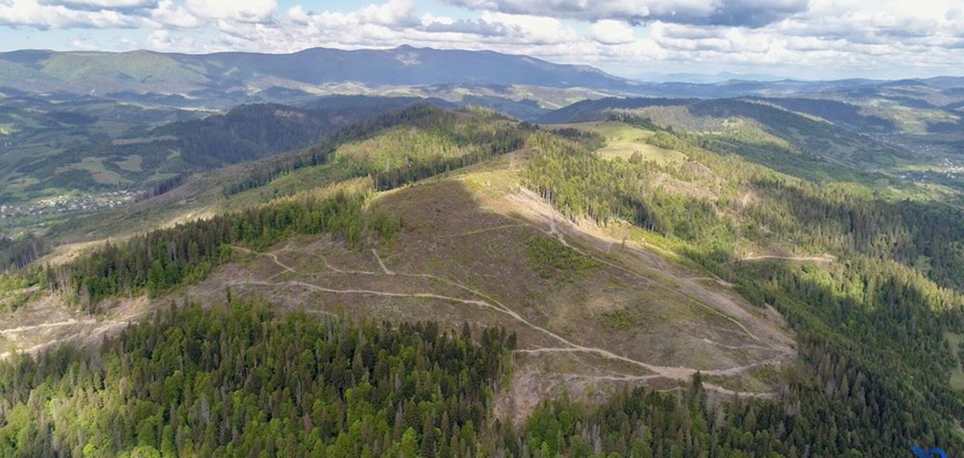 'Так лысеют Карпаты': ВВС показали фото незаконных вырубок