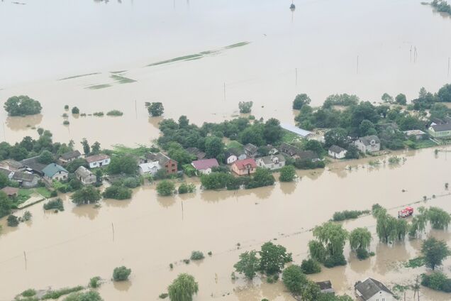 Вырубка деревьев приводит к разрушительным наводнениям в Карпатах, – эколог