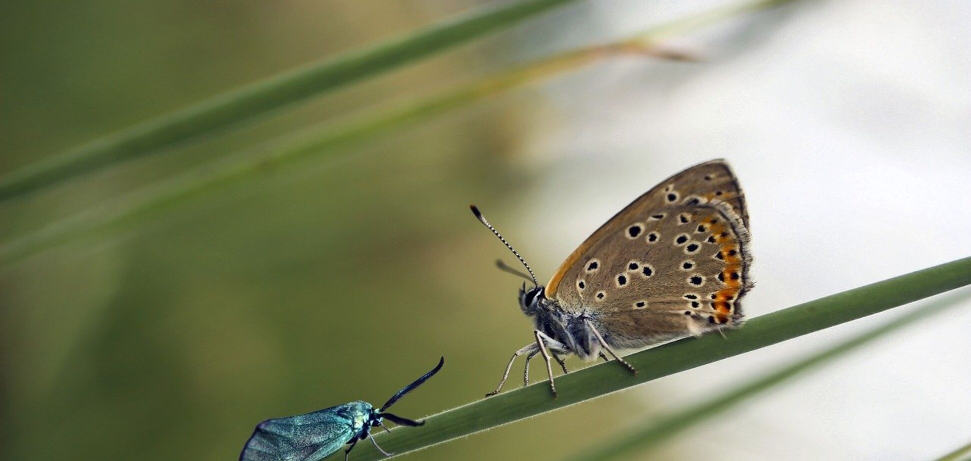 Приметы и праздники 27 июня: что нельзя делать в этот день