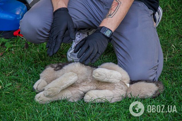 В Днепре показали, как спасать жизнь животным