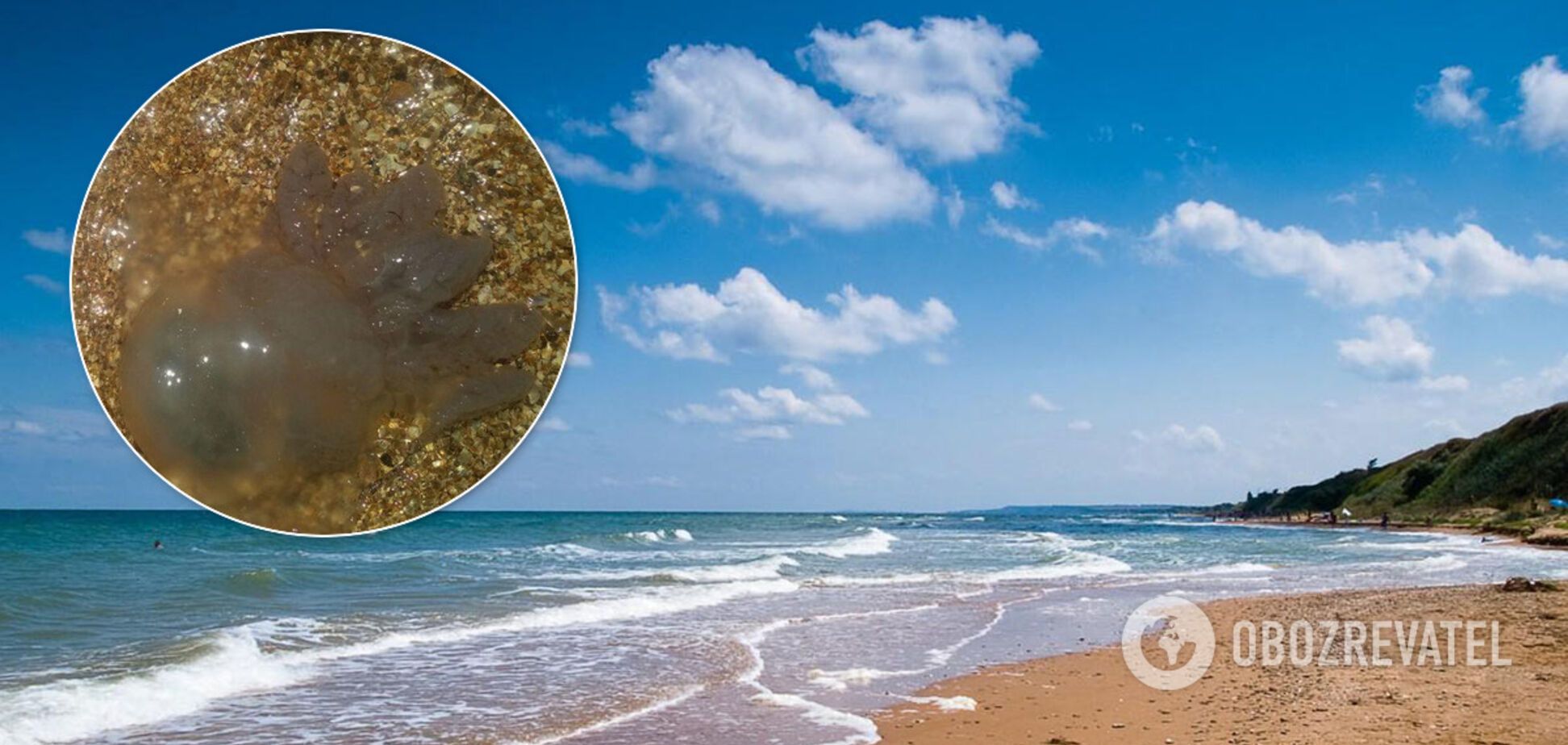 Відпочиваючі на Азовському морі поскаржилися на навалу медуз