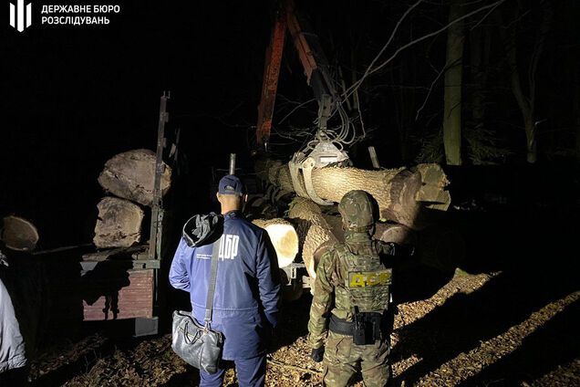 На западе Украины раскрылась крупная незаконная вырубка леса