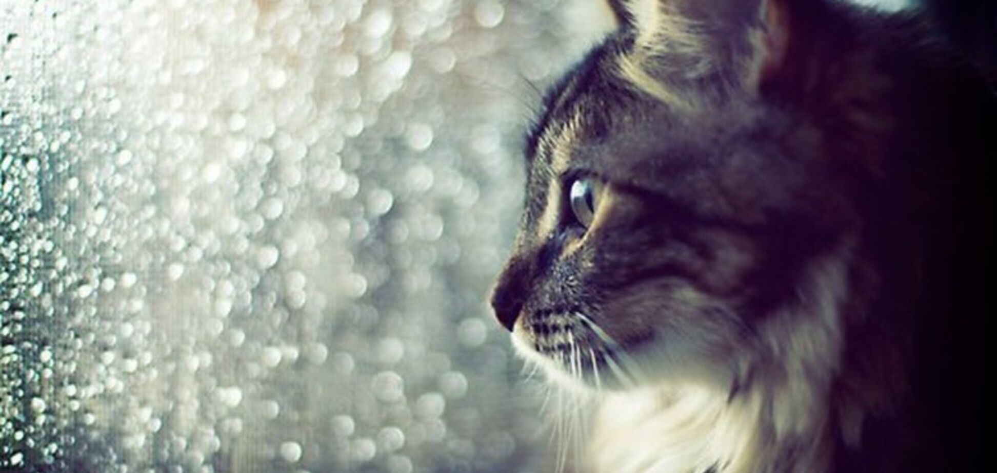 Погода в Днепре: синоптики дали прогноз на 29 июня