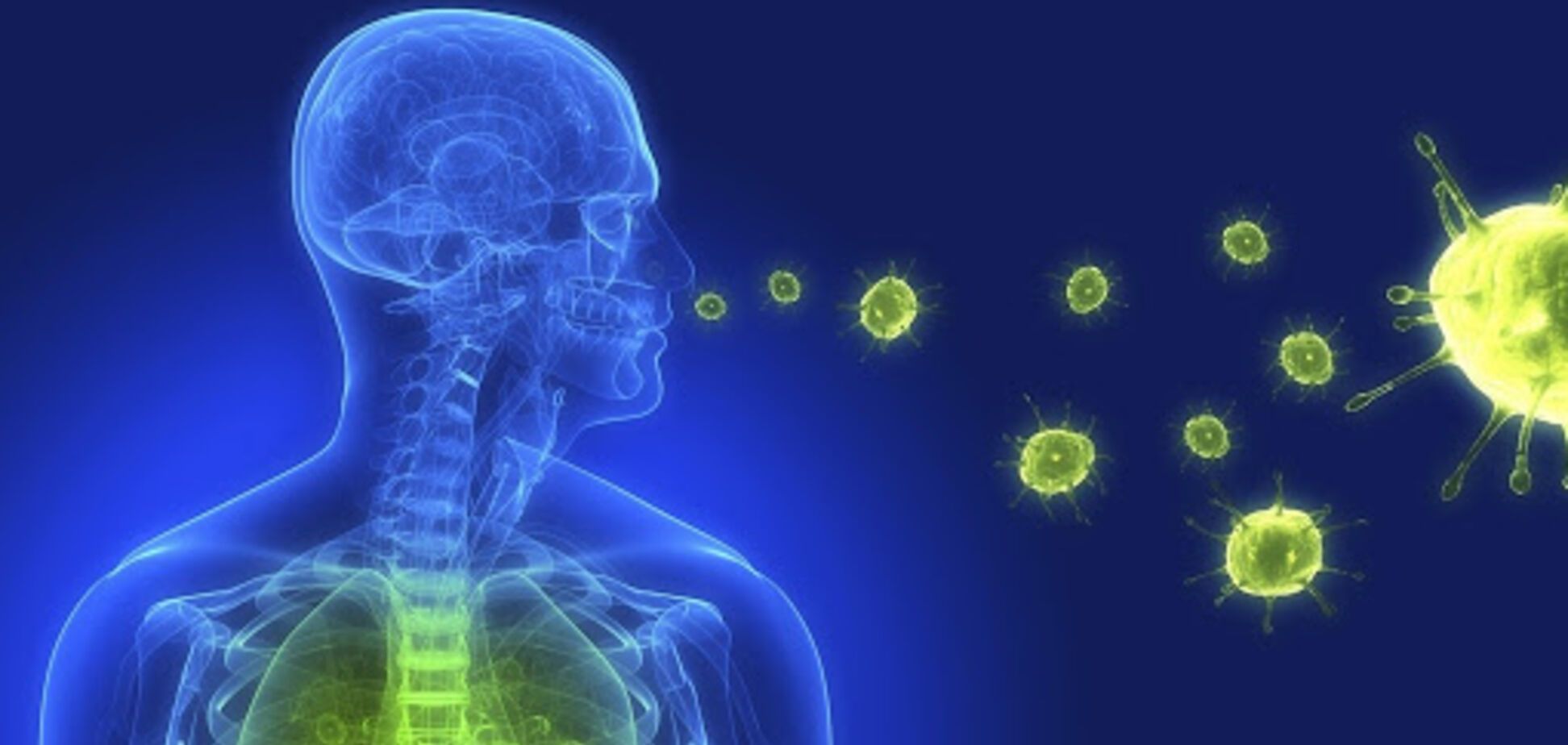 Пневмония (источник: medbucha.org)