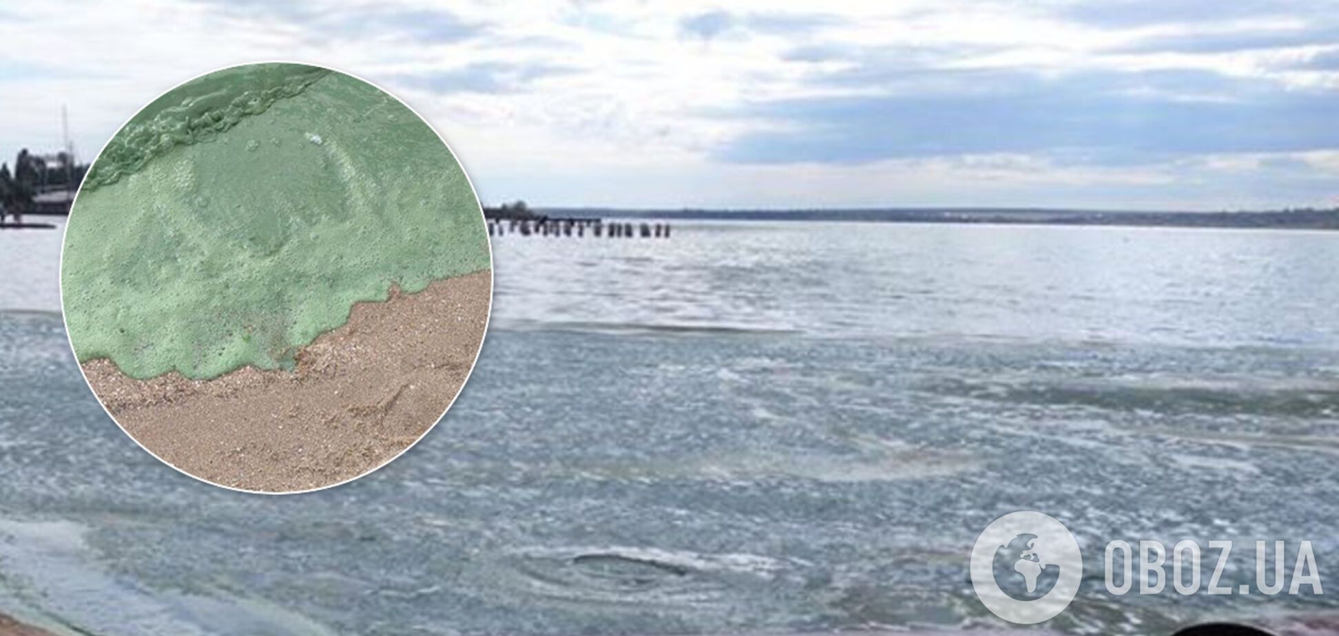 У Миколаєві на популярному пляжі вода перетворилася на 'зеленку'. Фото