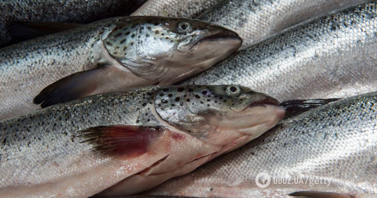 Цвет рыбы становится неестественным