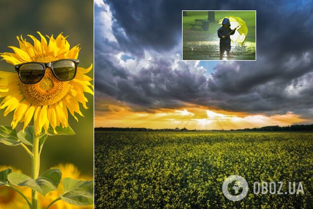 Погода в Украине на 1 июля
