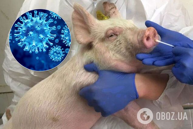 У Китаї знайшли новий вірус