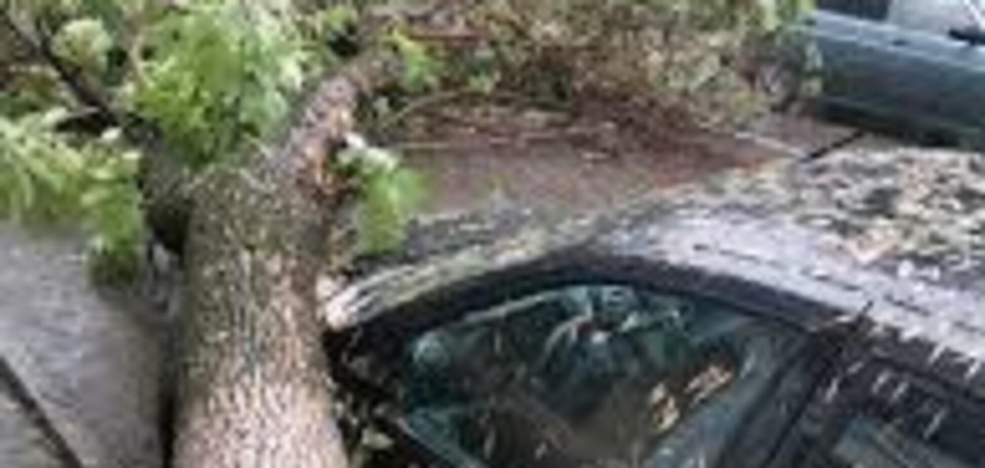 Россию накрыл мощный ураган: фото и видео разрушений