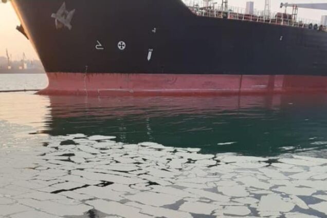 Глава екоінспекції відпустив судно, яке скинуло у море тонни пальмового масла. Документ
