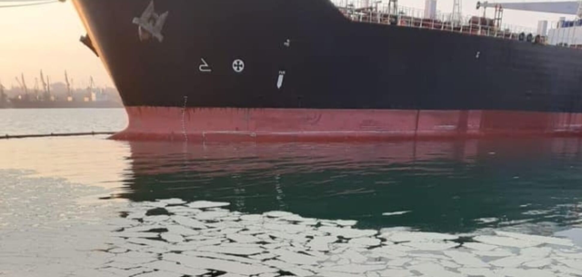Глава екоінспекції відпустив судно, яке скинуло у море тонни пальмового масла. Документ