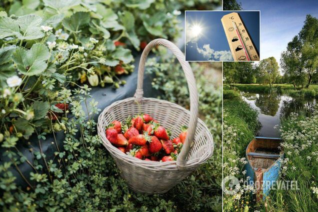 Украину на выходных накроет тепло до +32. Иллюстрация