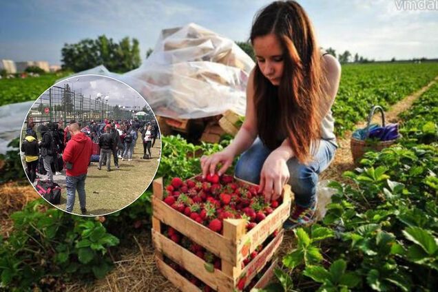 Шахраї влаштували масштабну аферу з українськими заробітчанами: людей вивозять за кордон і кидають
