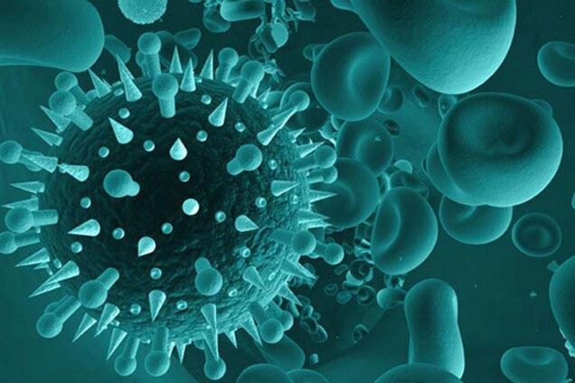Вчені розкрили механізм потрапляння смертельного вірусу в тіло людини