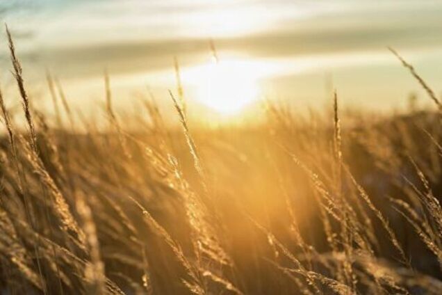 У Київ прийшло метеорологічне літо