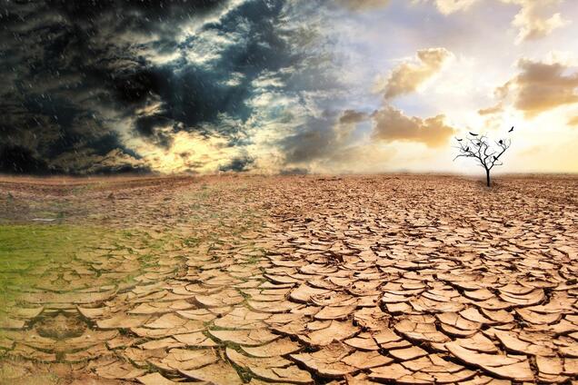 Метеоролог предупредила о последствиях потепления: процесс уже не остановить