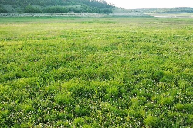 Высохшее Симферопольское водохранилище