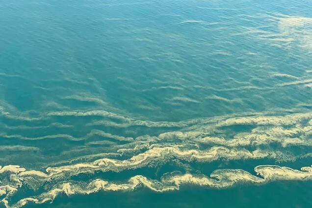 Зелене Чорне море