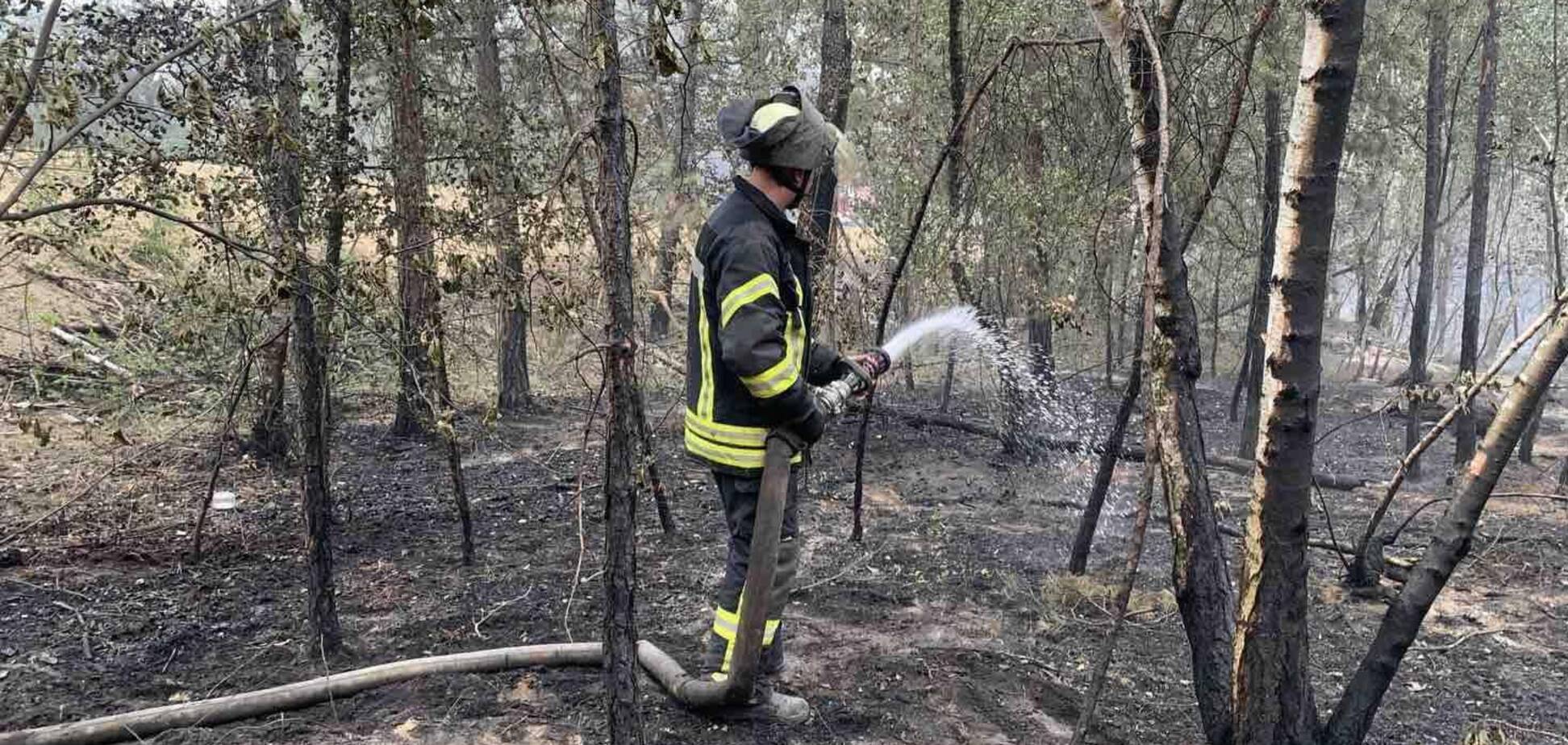Пожежі на Луганщині вщухли: рятувальники локалізували вогнище. Фото