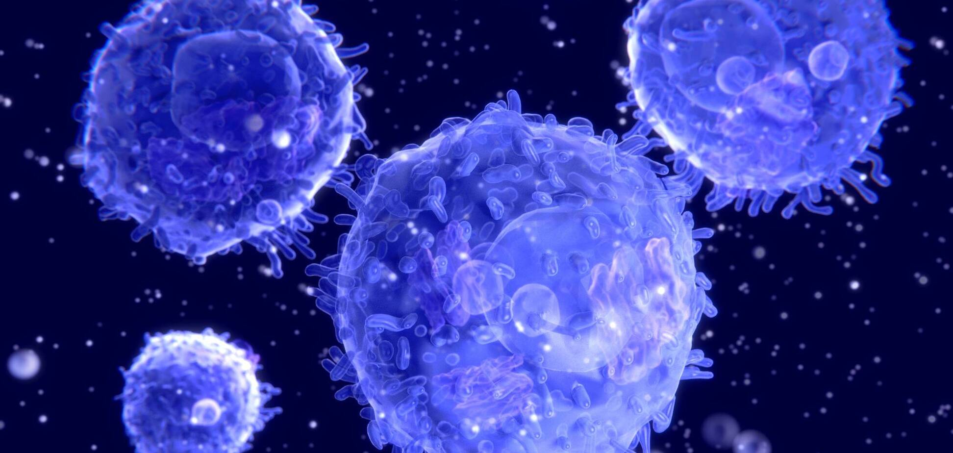Вчені встановили користь Т-лімфоцитів у захисті від СOVID-19