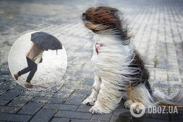 В Украине объявлено штормовое предупреждение