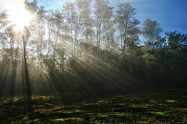 Погода в Украине 10 июля будет солнечной и теплой