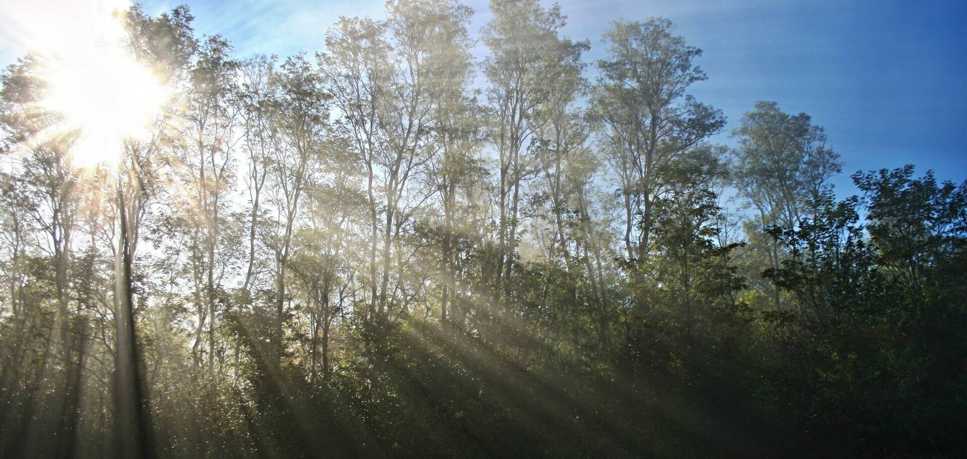 Погода в Украине 10 июля будет солнечной и теплой