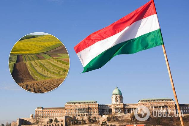Угорщина планує скуповувати українські землі