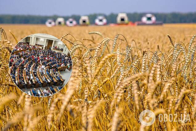Госземли хотят раздать пенсионерам: 'Слуга народа' сделала шаг