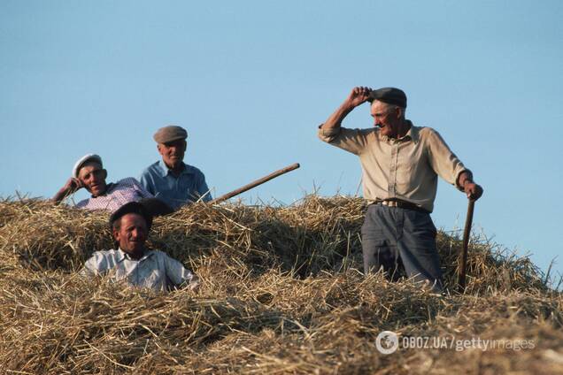 Курс валют в Украине держит урожай, – экономист