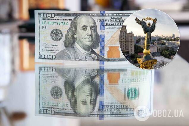 Эксперт объяснил, кто в Украине сможет претендовать на 'инвестиционную няню'