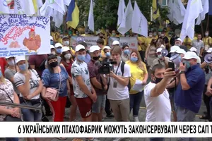 Шість українських птахофабрик можуть законсервувати через САП та НАБУ