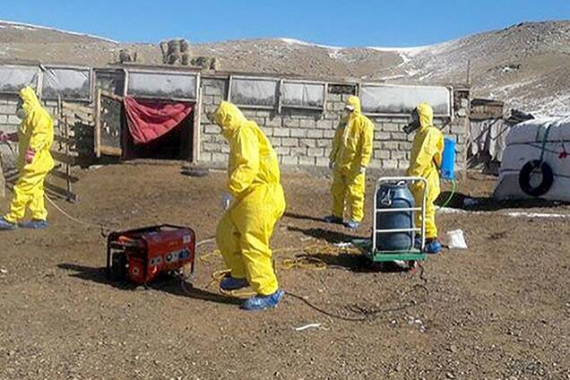 Бубонная чума в Монголии убила 15-летнего подростка: 'сгорел' за 3 дня