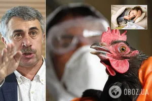 Комаровский рассказал о птичьем и свином гриппе